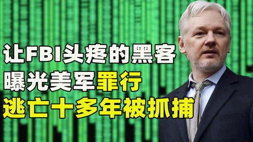 黑客最新爆料电话是多少,黑客最新爆料，神秘电话号码引发网络热议！