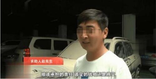 深圳网友赵先生最新爆料,揭秘最新热点事件内幕